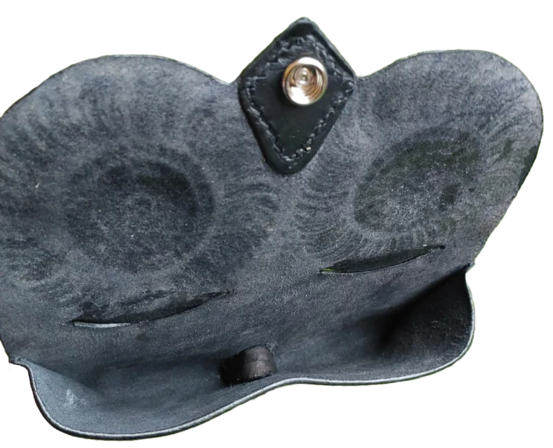 Etui à Lunettes Noctua